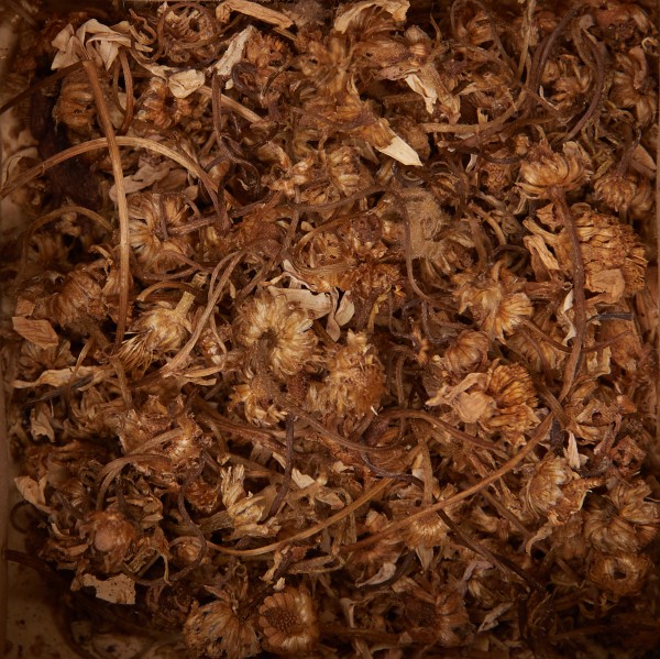 Foto van collectie itemFlores chamaemeli vulgaris (kamillebloemen)